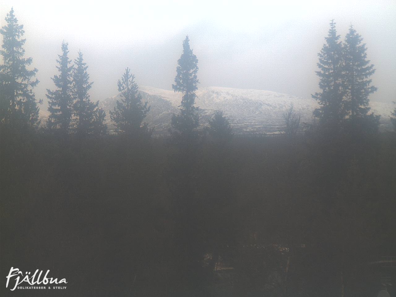Fjällbua webcam 2024-11-04 09:00
