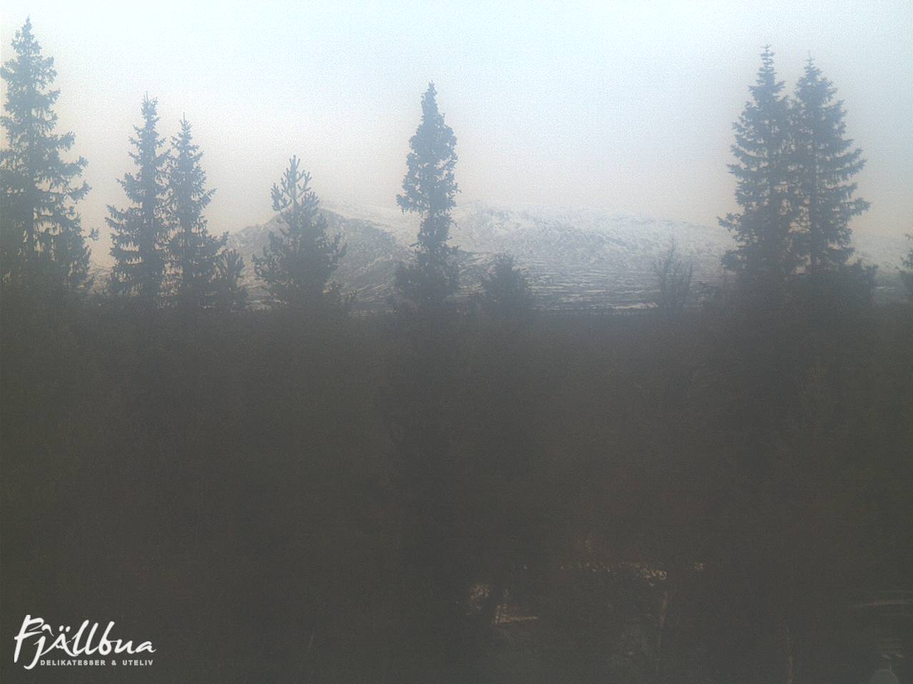 Fjällbua webcam 2024-11-04 09:30