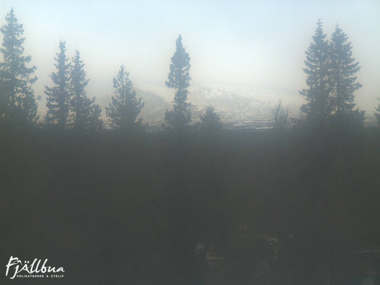 Fjällbua webcam 2024-11-04 11:00