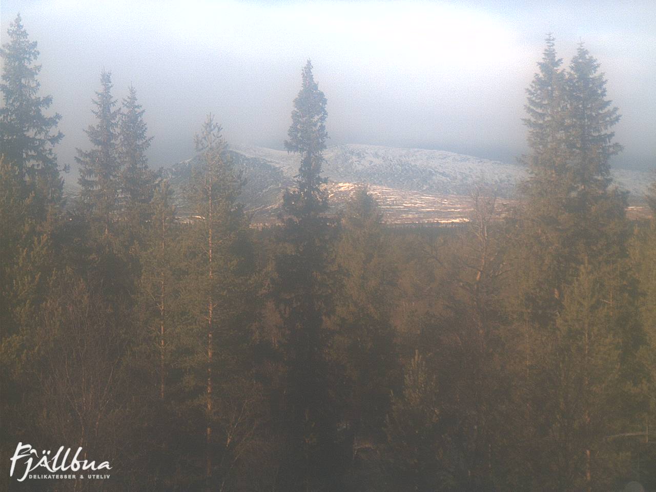 Fjällbua webcam 2024-11-04 13:00