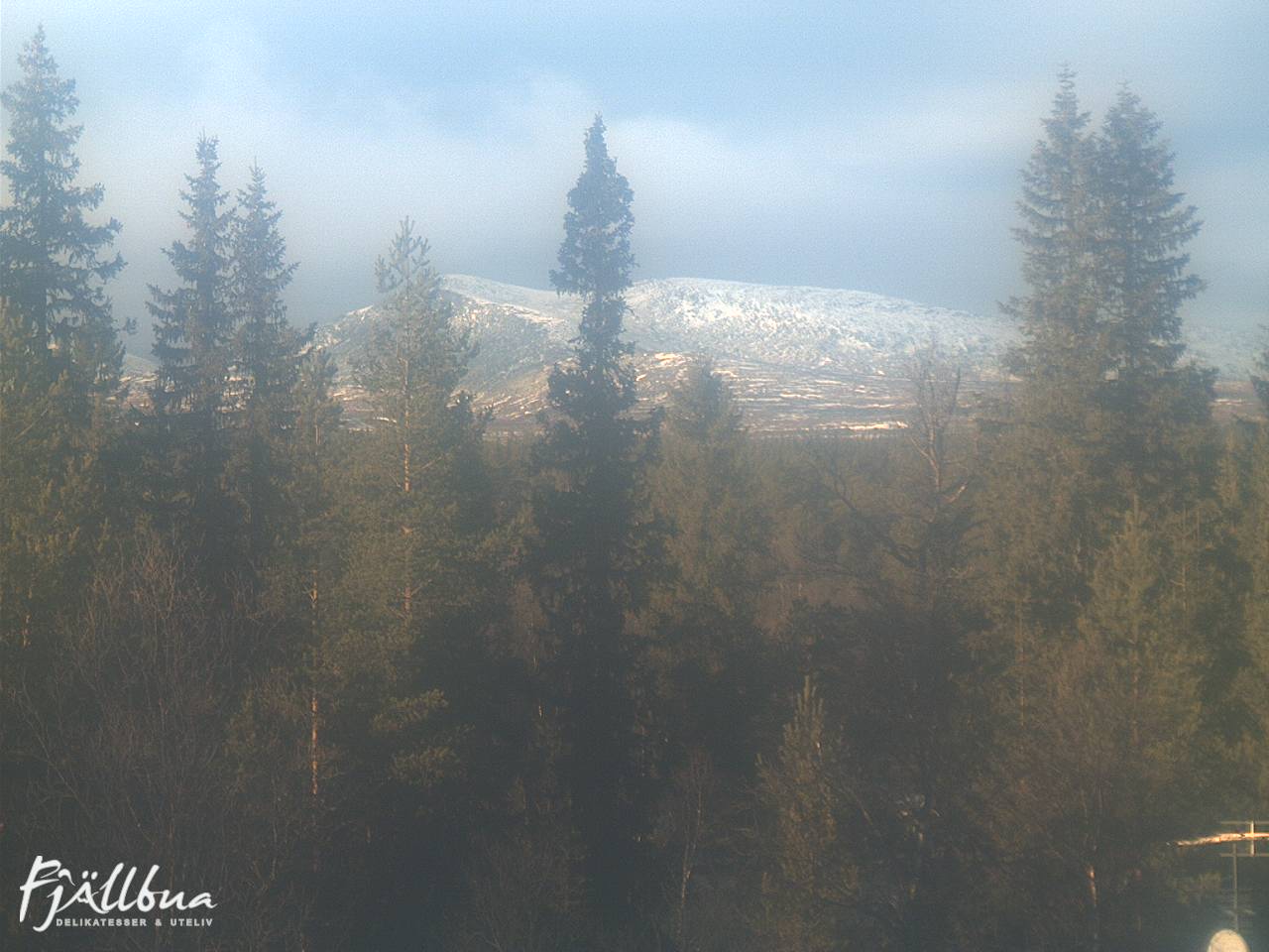 Fjällbua webcam 2024-11-04 13:30