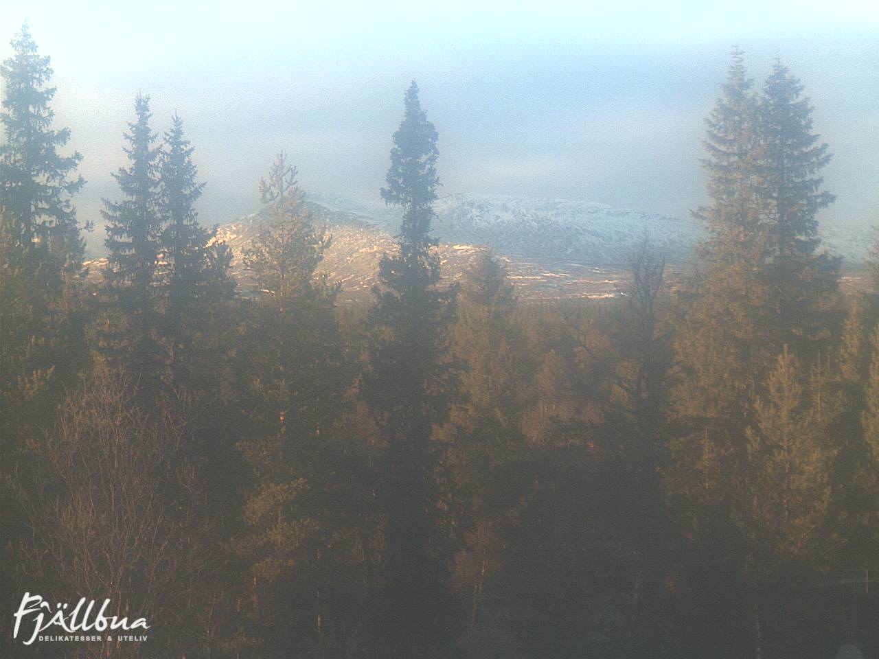 Fjällbua webcam 2024-11-04 14:30