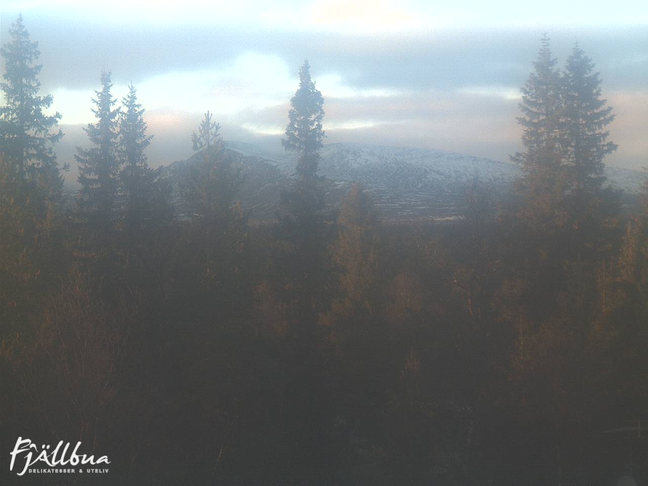 Fjällbua webcam 2024-11-04 15:00