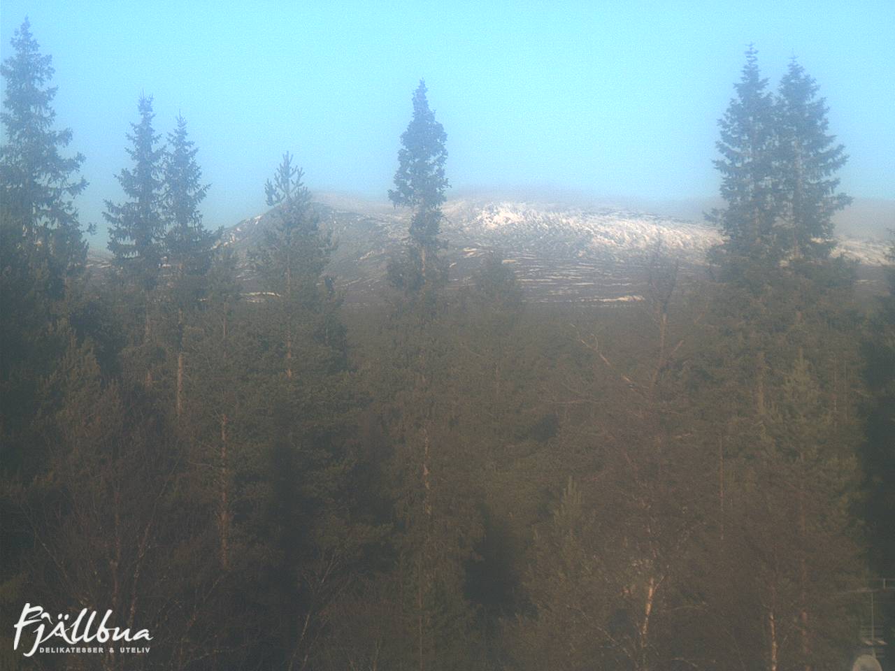 Fjällbua webcam 2024-11-05 09:30