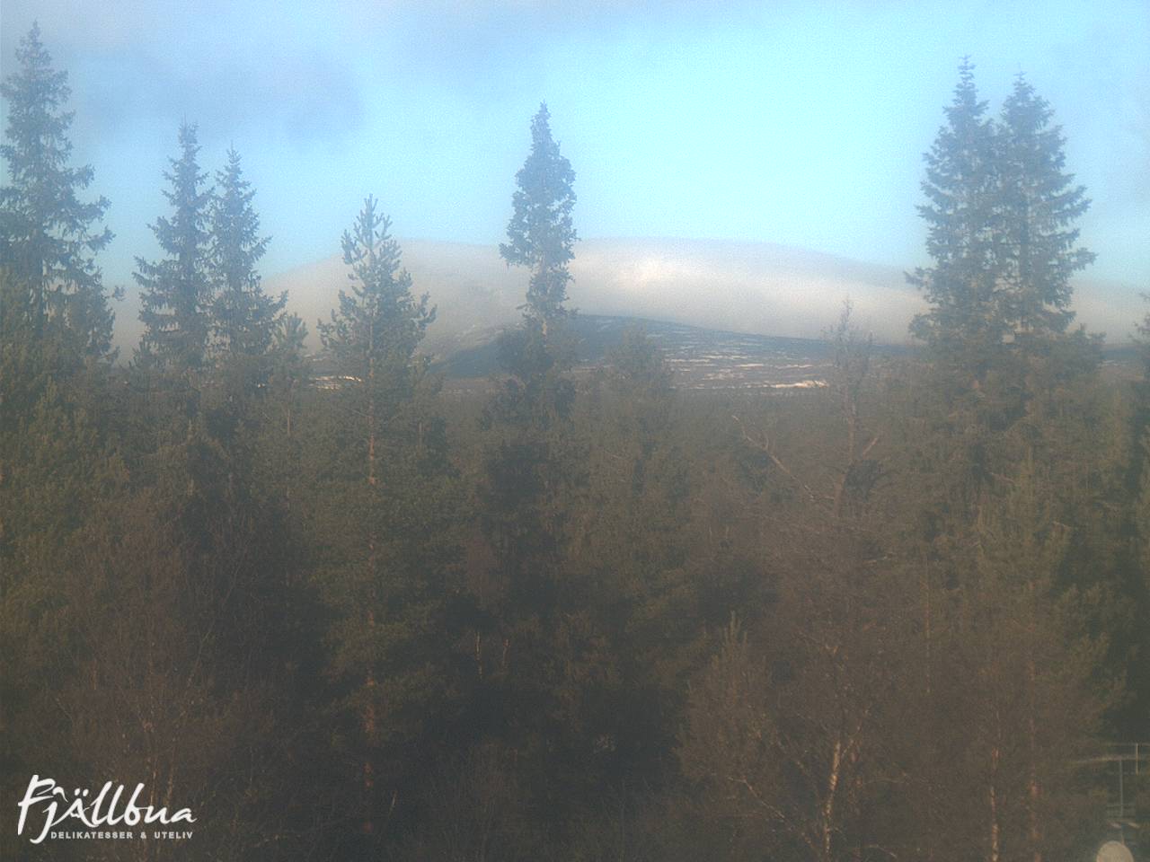 Fjällbua webcam 2024-11-05 10:30