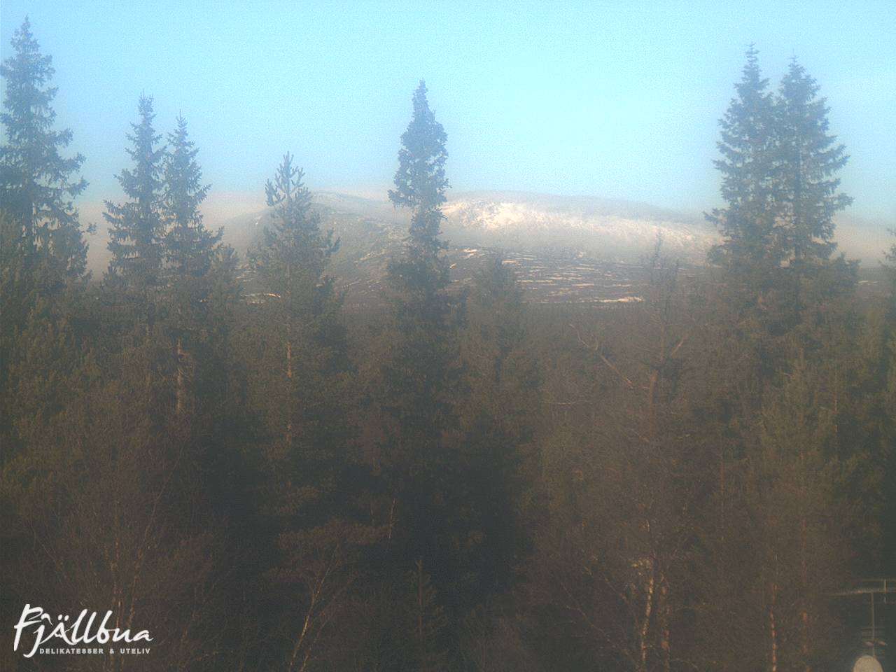 Fjällbua webcam 2024-11-05 11:00