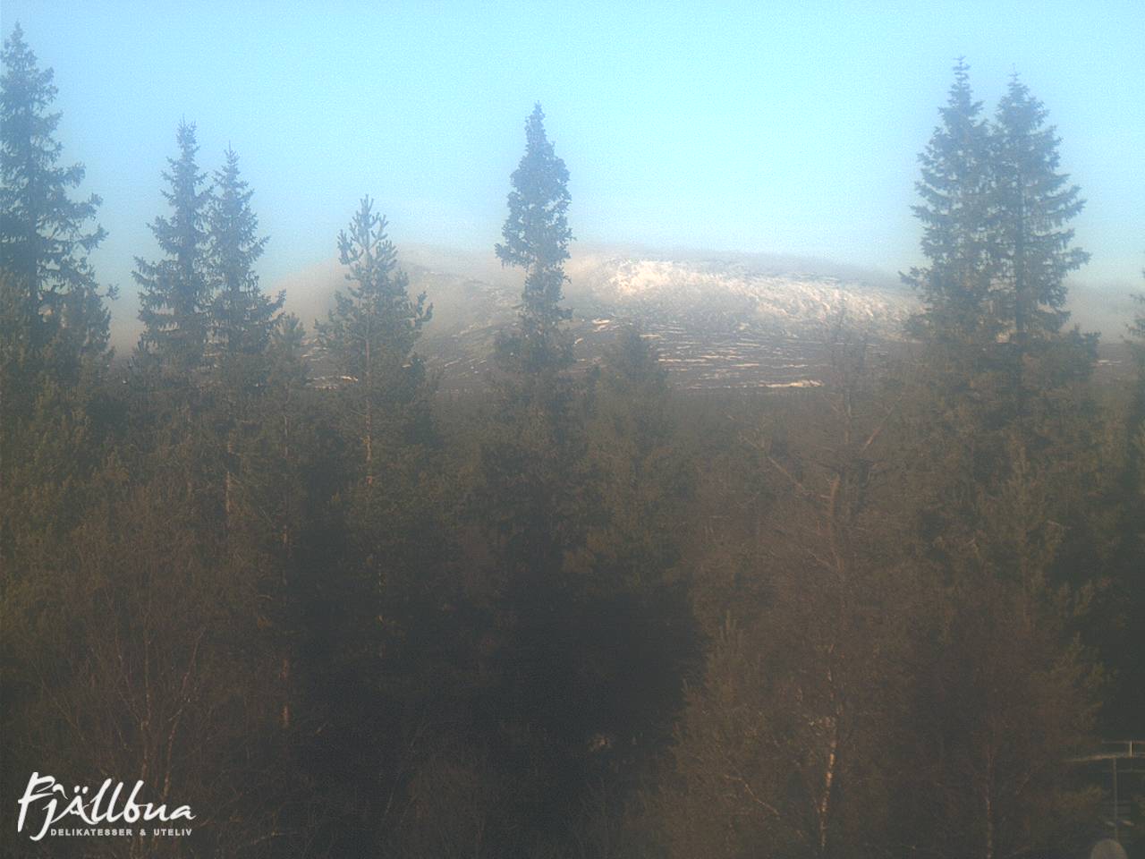 Fjällbua webcam 2024-11-05 11:30