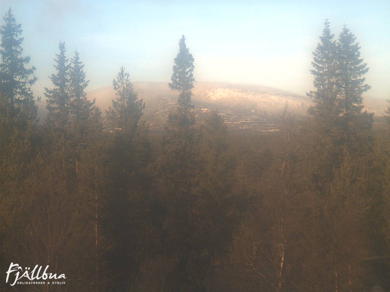 Fjällbua webcam 2024-11-05 12:00