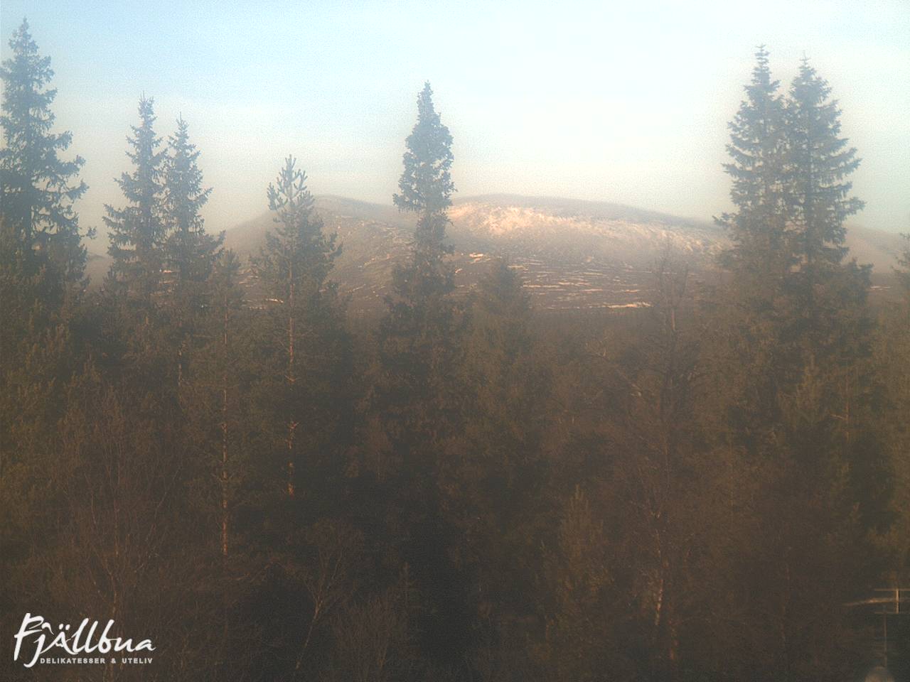 Fjällbua webcam 2024-11-05 12:30
