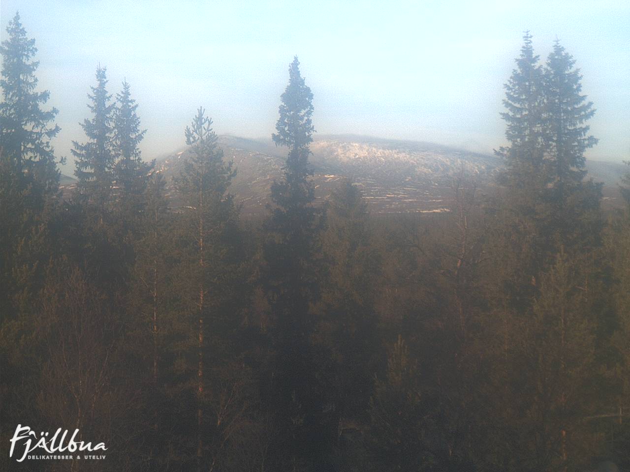 Fjällbua webcam 2024-11-05 13:00