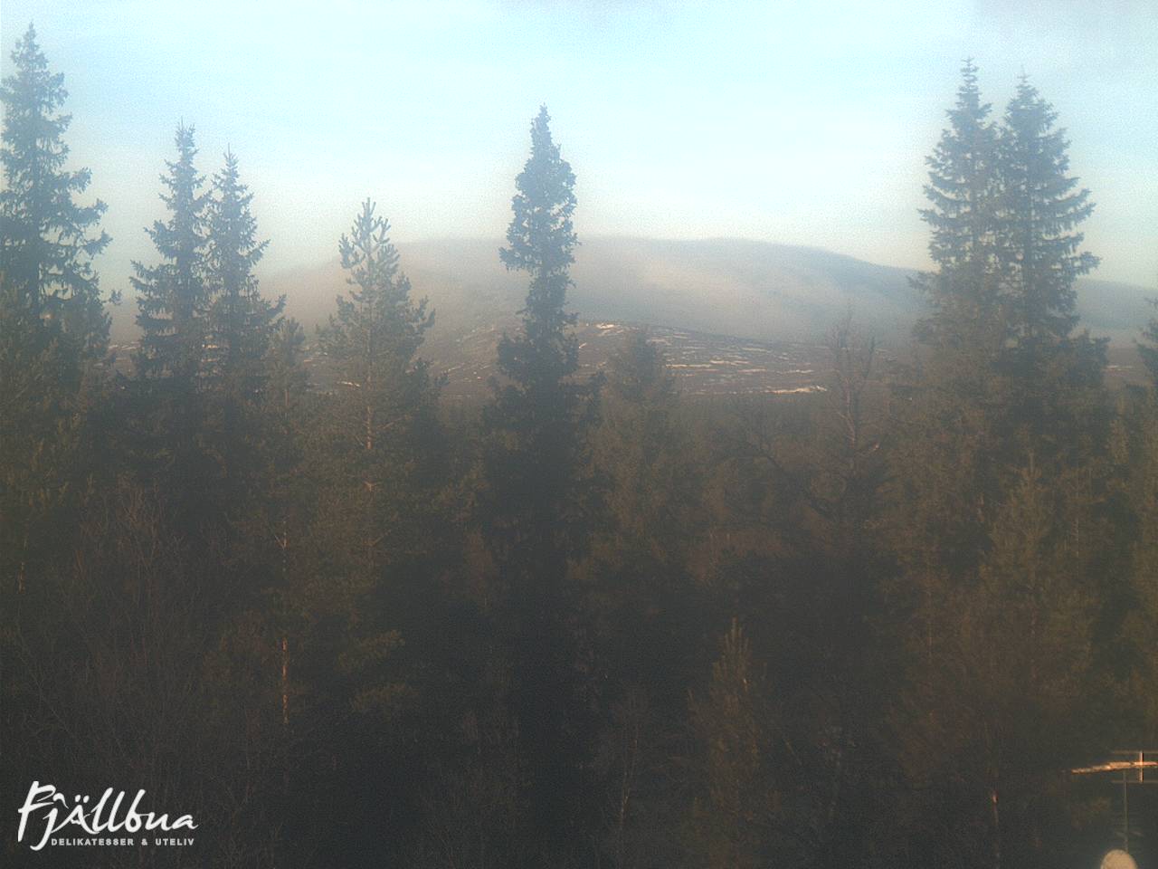 Fjällbua webcam 2024-11-05 13:30