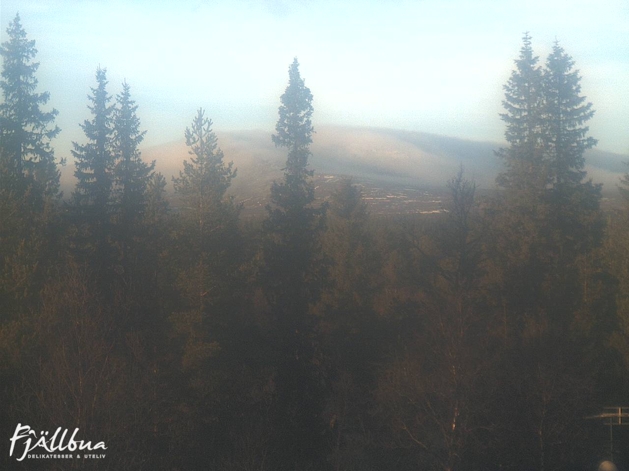 Fjällbua webcam 2024-11-05 14:00