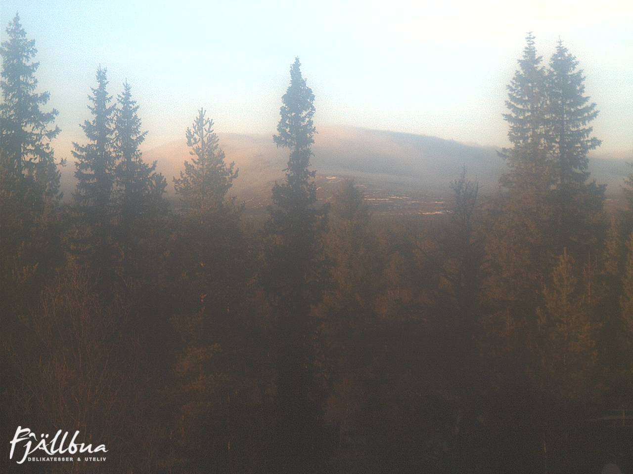 Fjällbua webcam 2024-11-05 14:30
