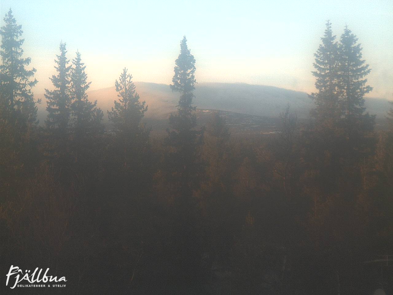 Fjällbua webcam 2024-11-05 15:00