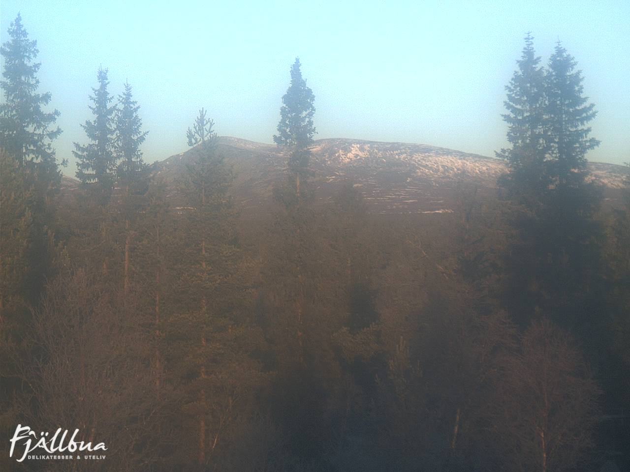 Fjällbua webcam 2024-11-08 09:00