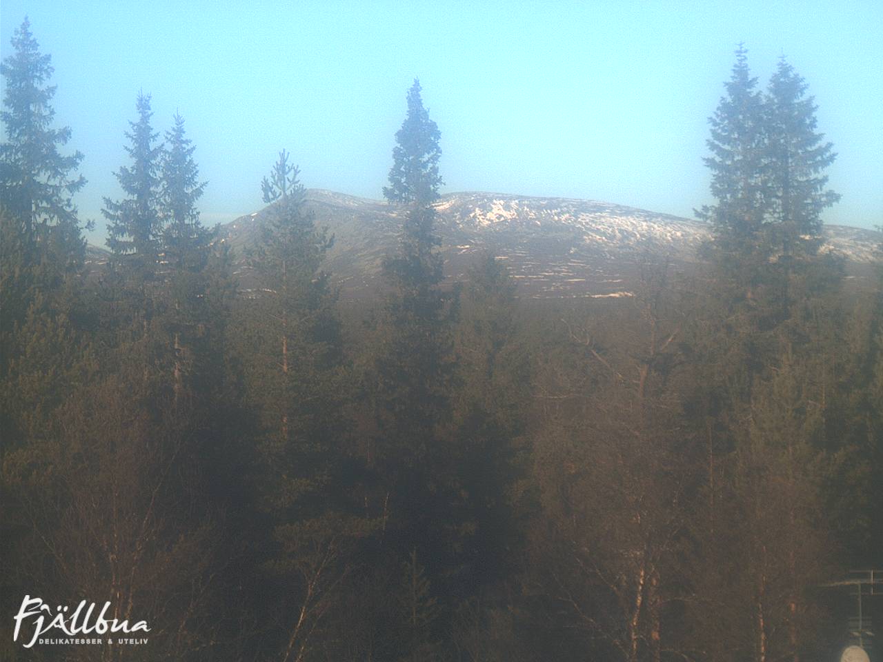 Fjällbua webcam 2024-11-08 11:00