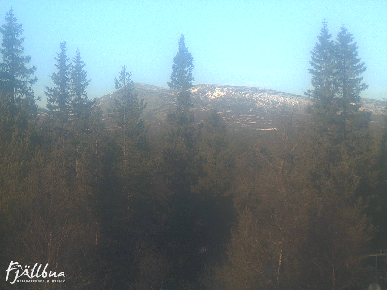 Fjällbua webcam 2024-11-08 11:30