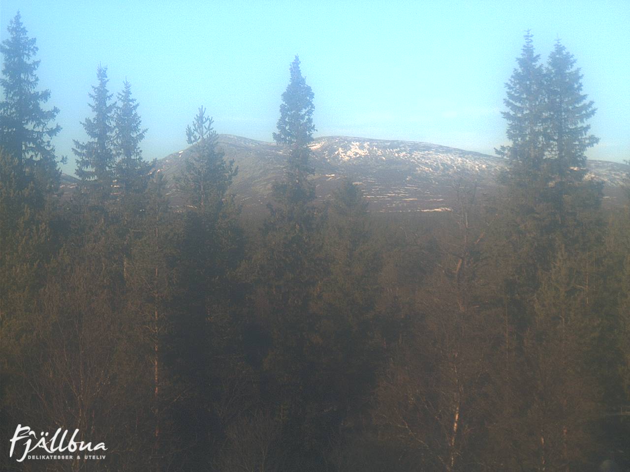 Fjällbua webcam 2024-11-08 12:00
