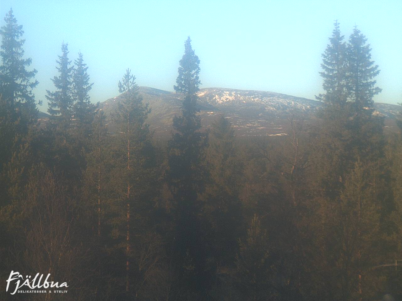 Fjällbua webcam 2024-11-08 13:00