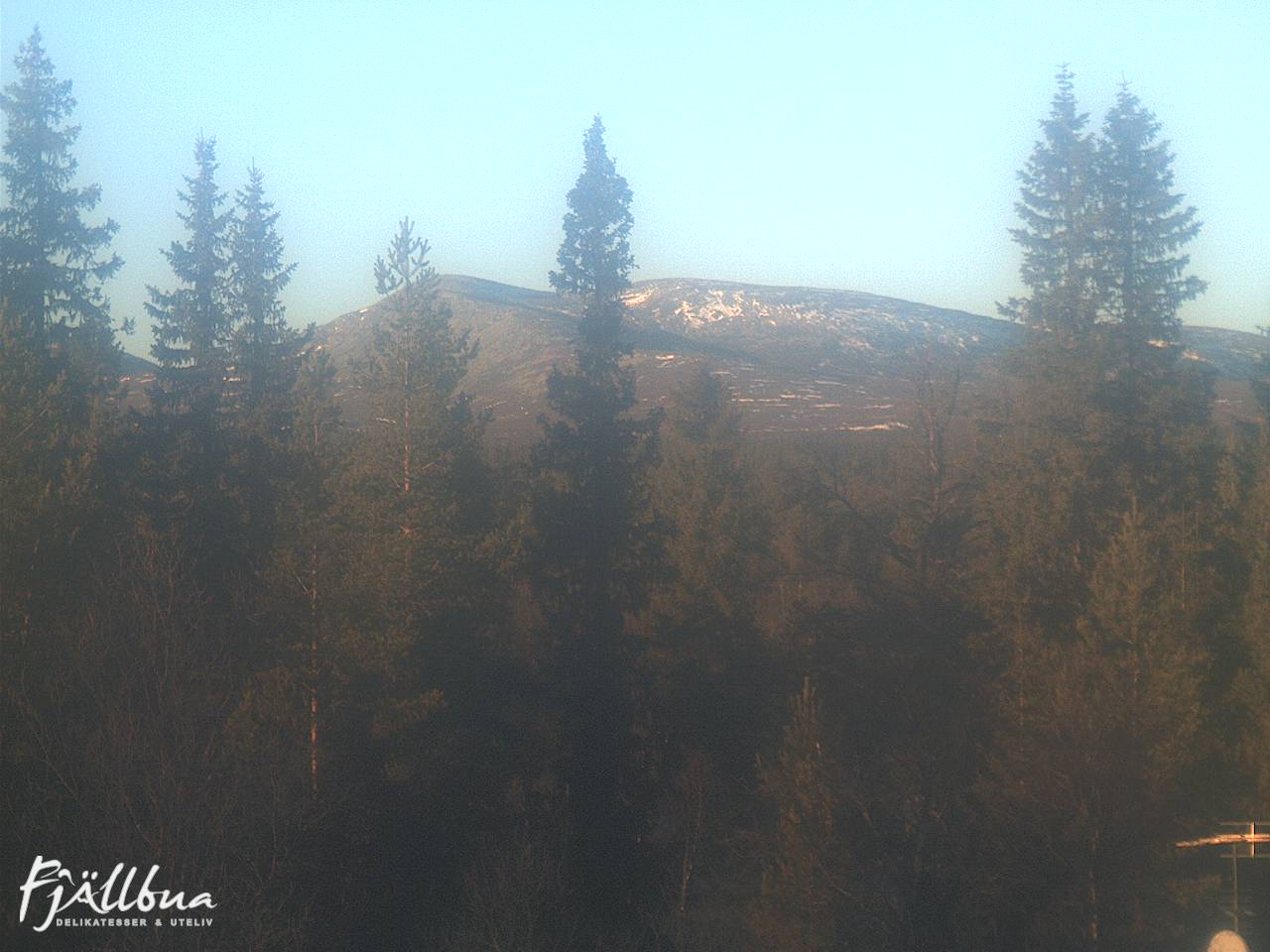 Fjällbua webcam 2024-11-08 13:30