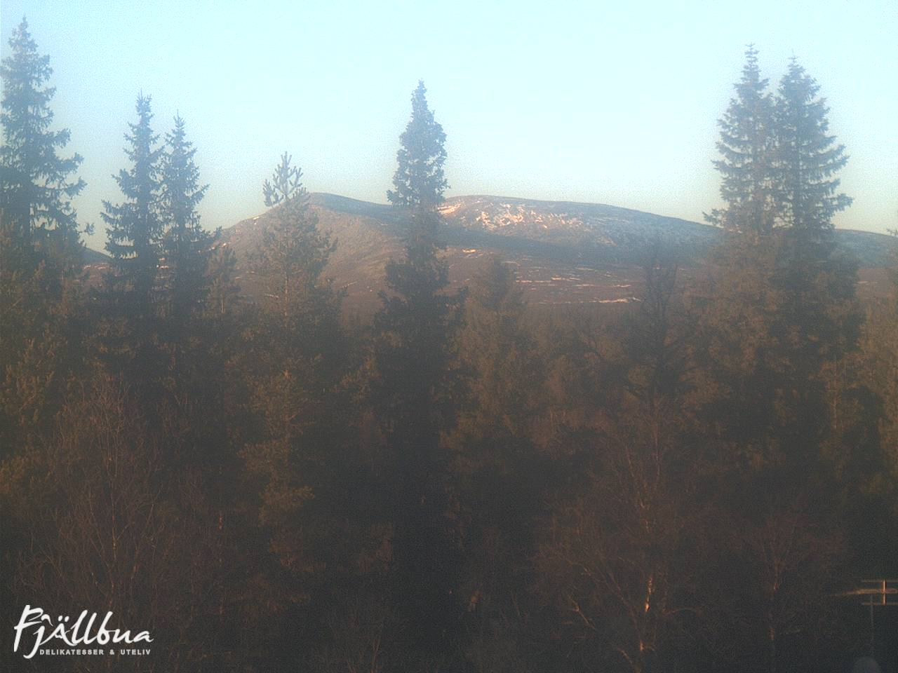 Fjällbua webcam 2024-11-08 14:00