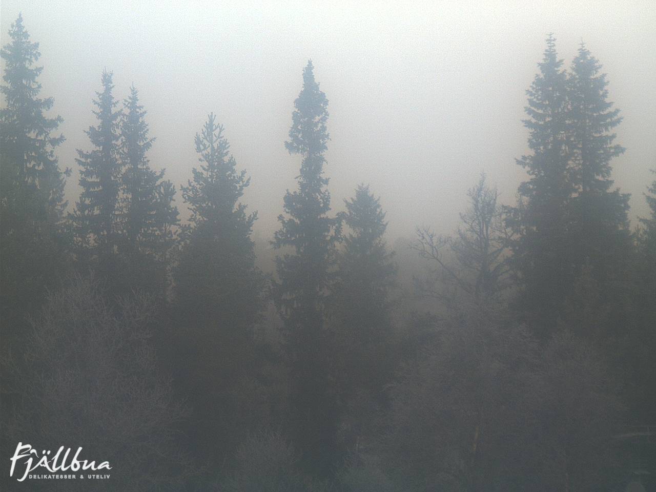 Fjällbua webcam 2024-11-09 09:00