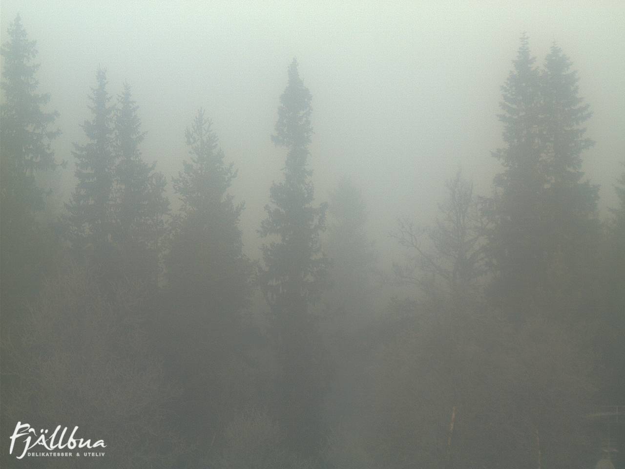 Fjällbua webcam 2024-11-09 09:30