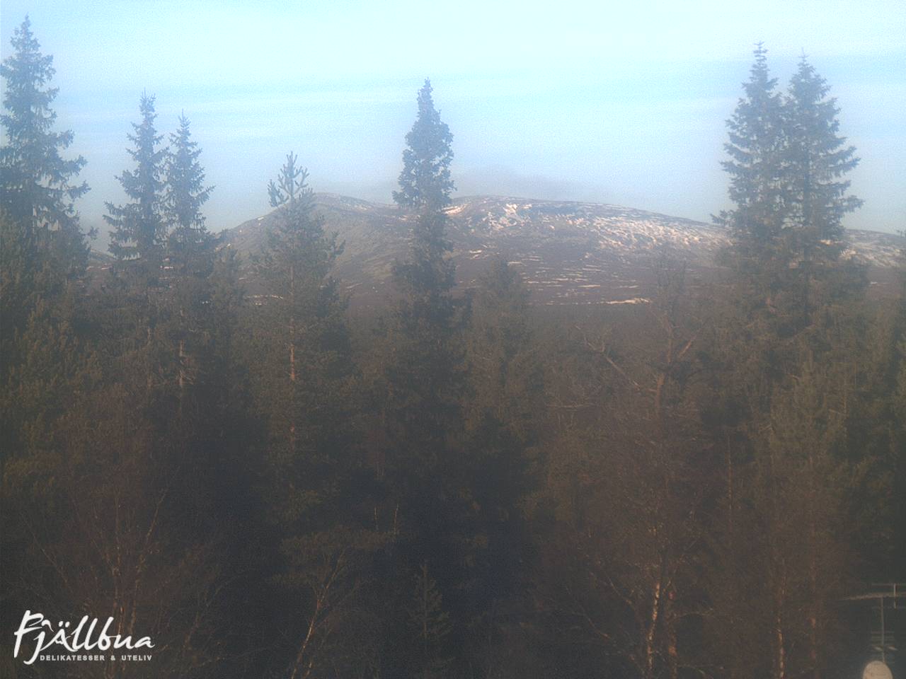 Fjällbua webcam 2024-11-09 11:00