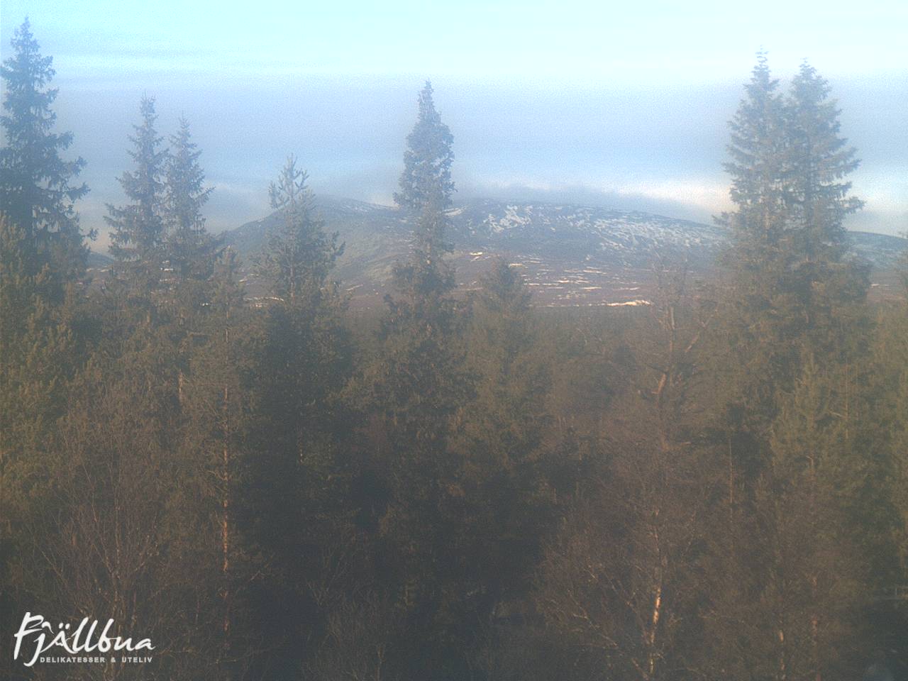 Fjällbua webcam 2024-11-09 12:00