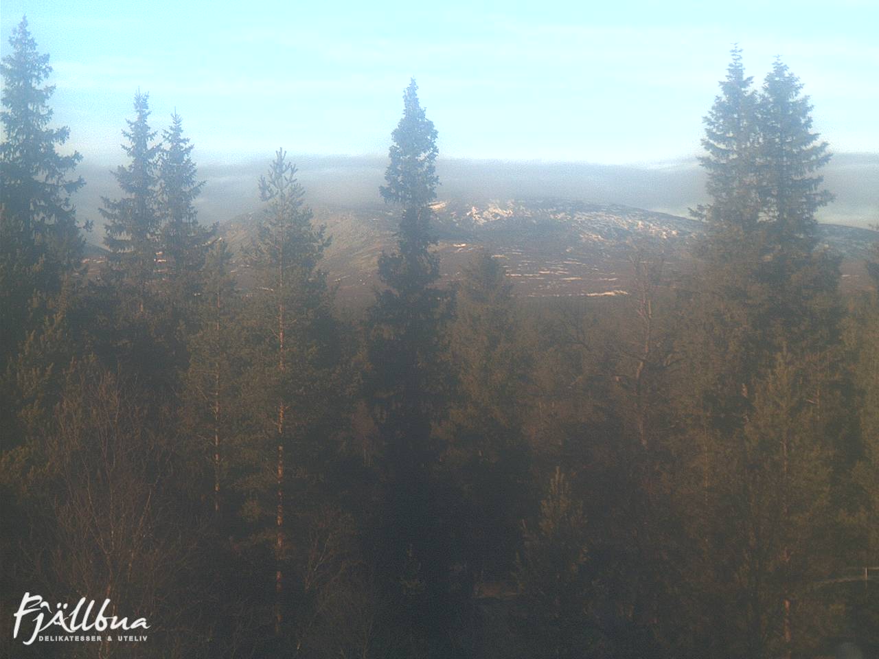 Fjällbua webcam 2024-11-09 13:00