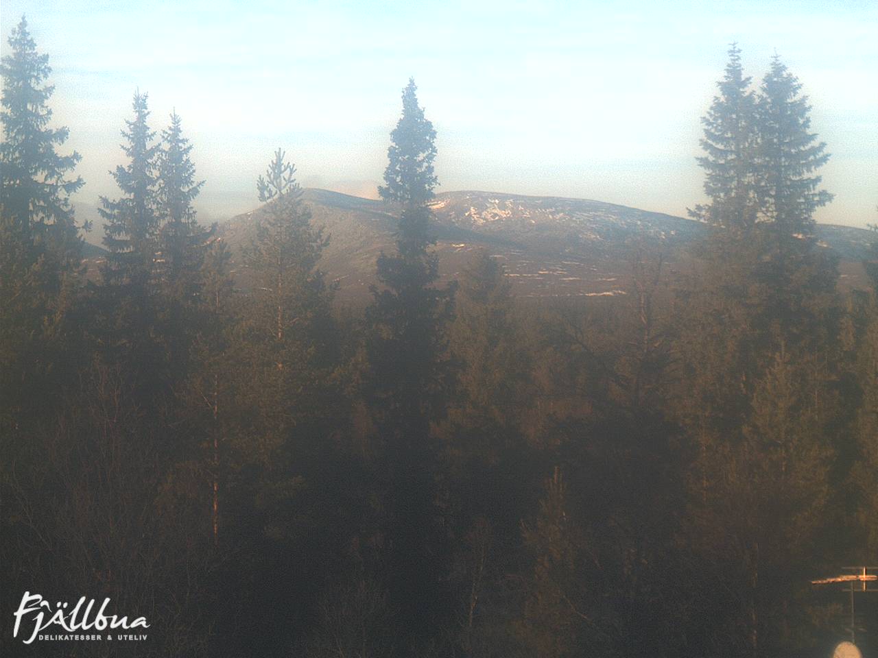 Fjällbua webcam 2024-11-09 13:30