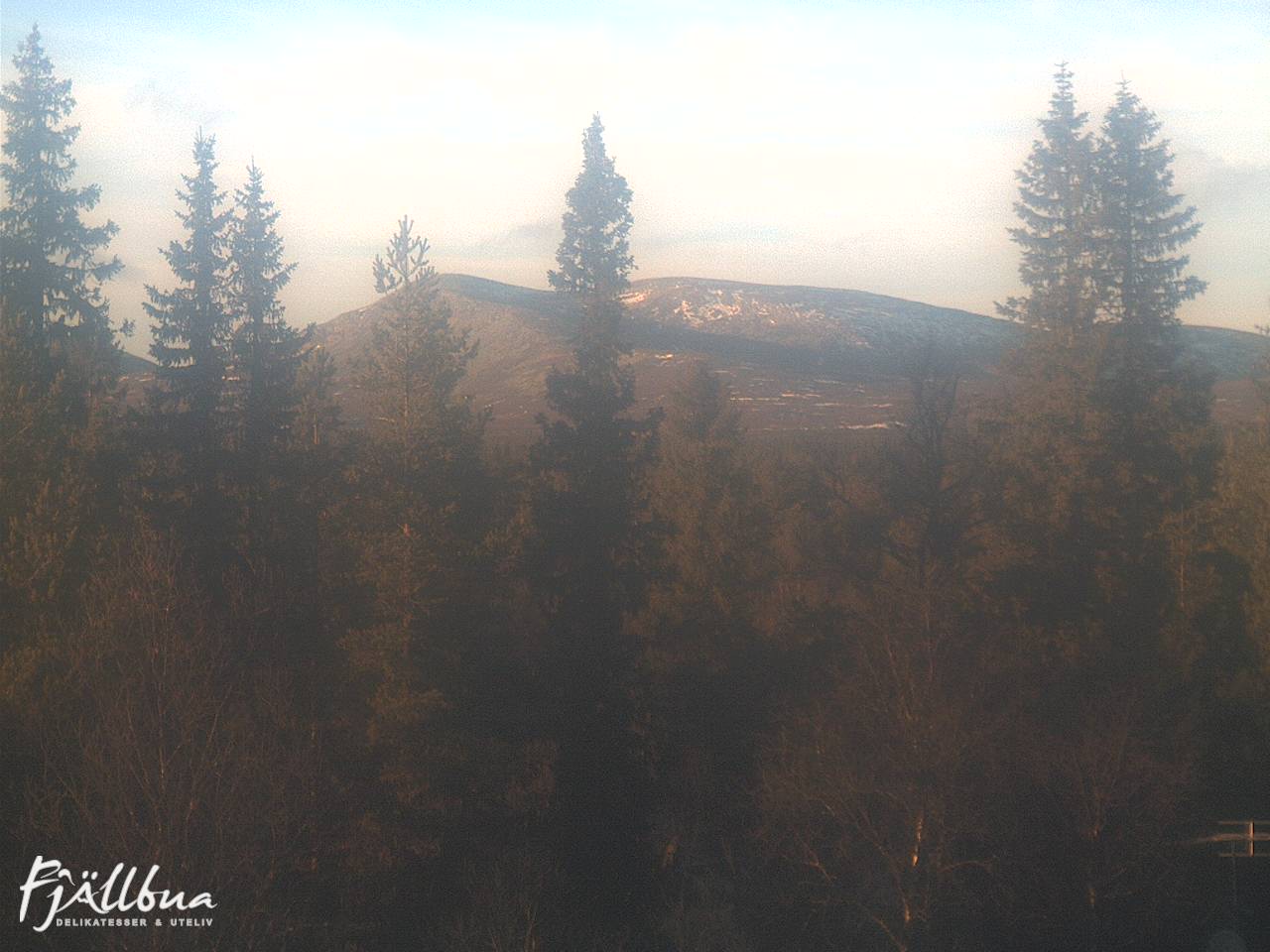 Fjällbua webcam 2024-11-09 14:00