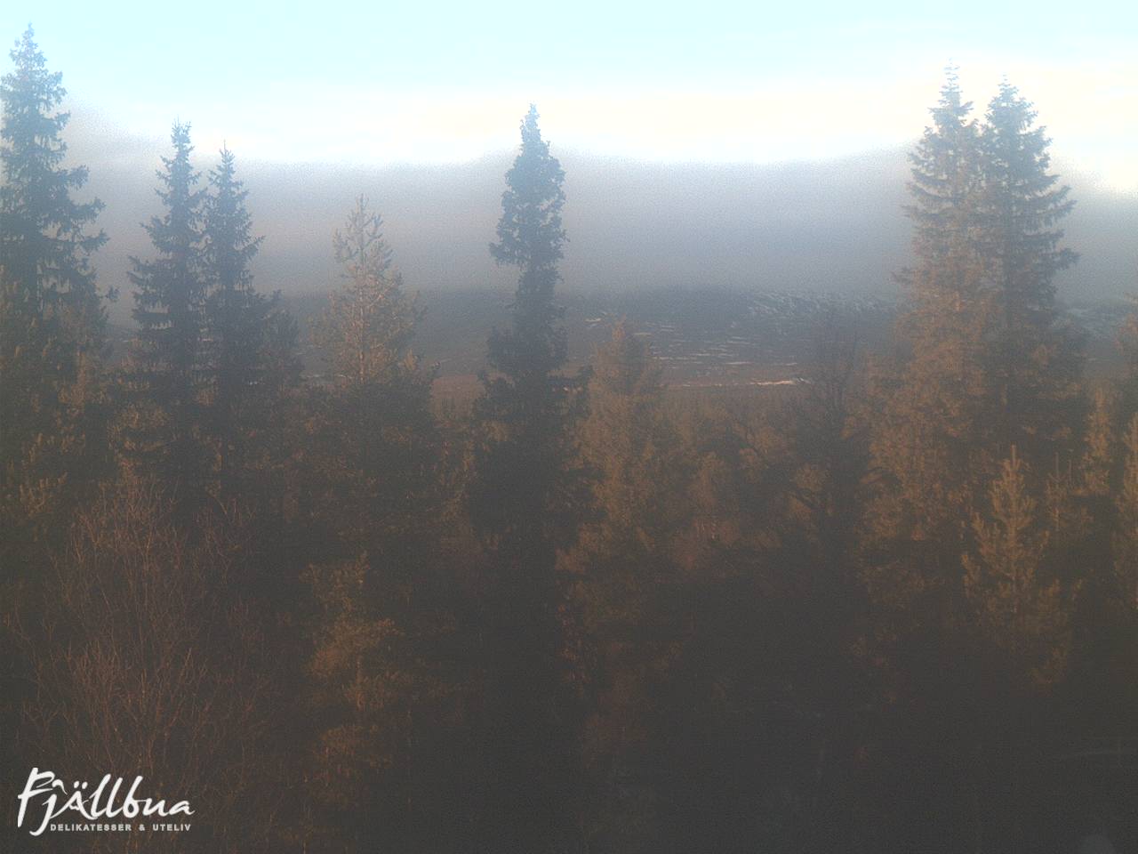 Fjällbua webcam 2024-11-09 14:30