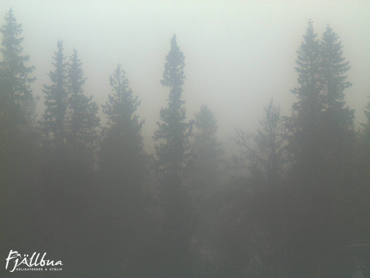 Fjällbua webcam 2024-11-10 09:00