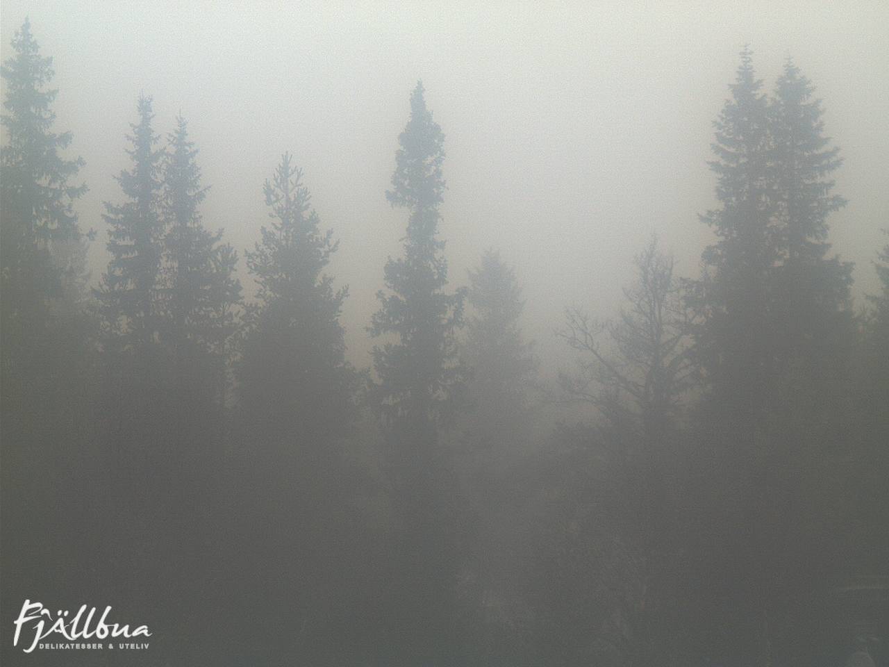 Fjällbua webcam 2024-11-10 09:30