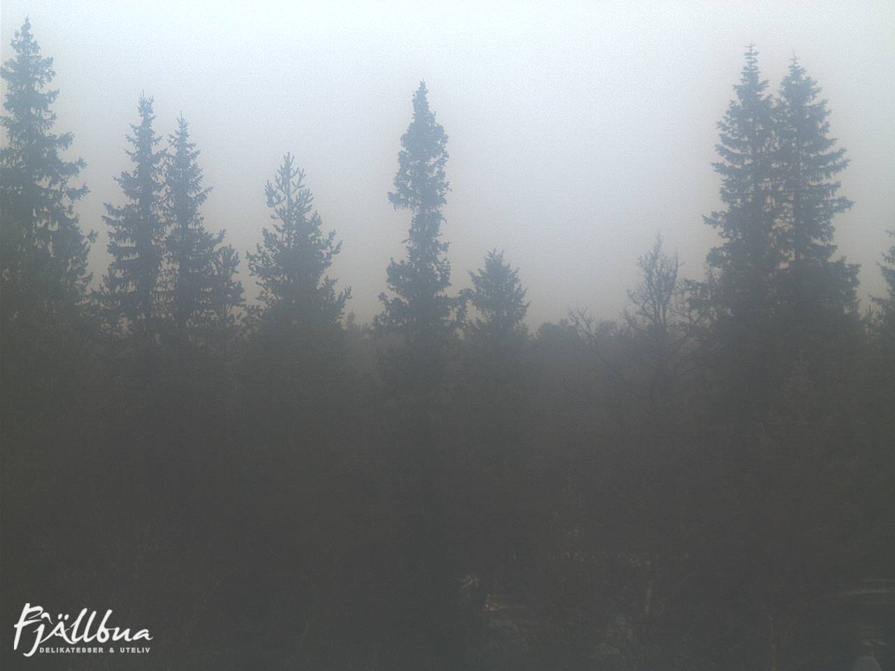 Fjällbua webcam 2024-11-10 10:00