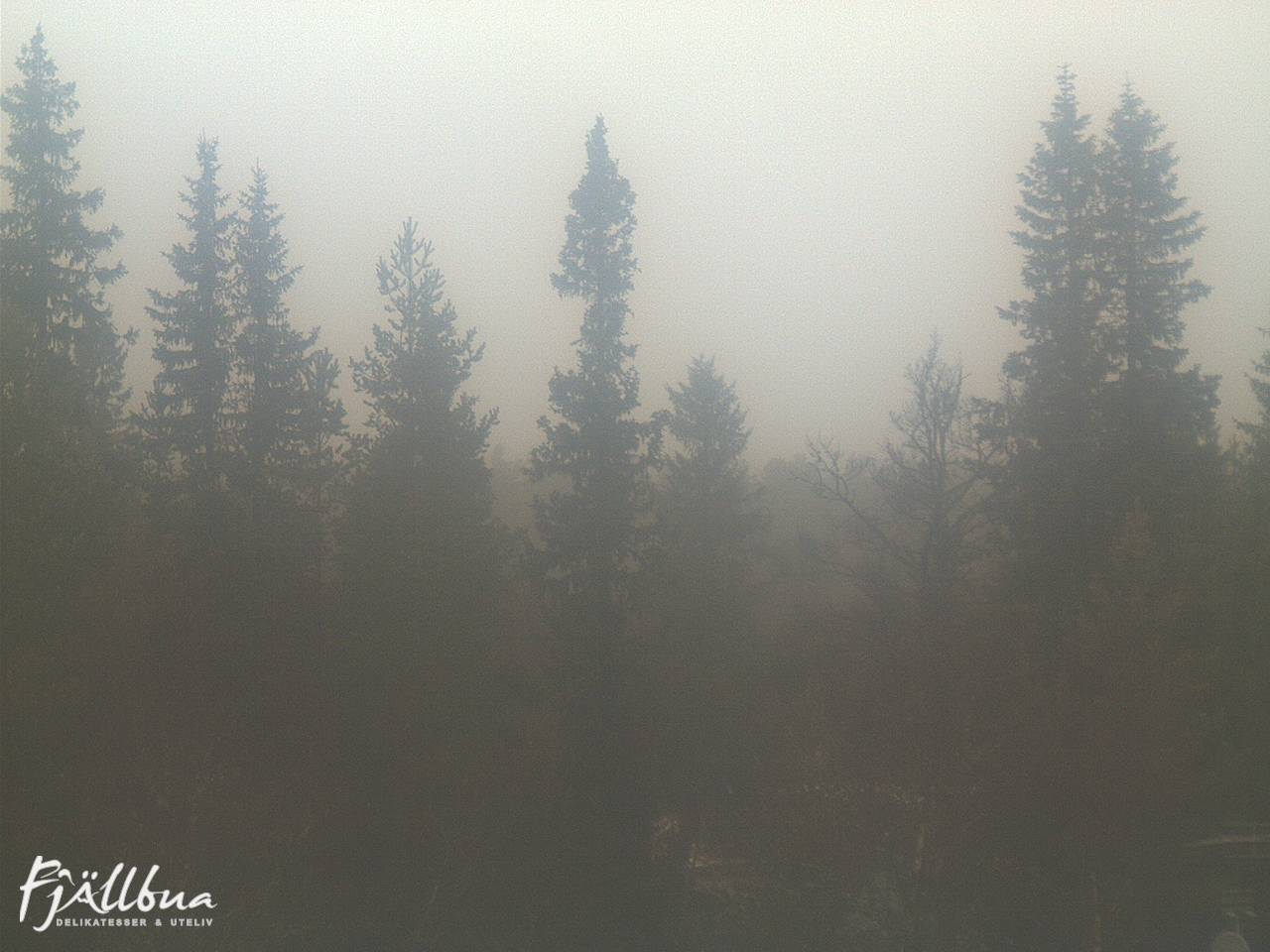 Fjällbua webcam 2024-11-10 11:00