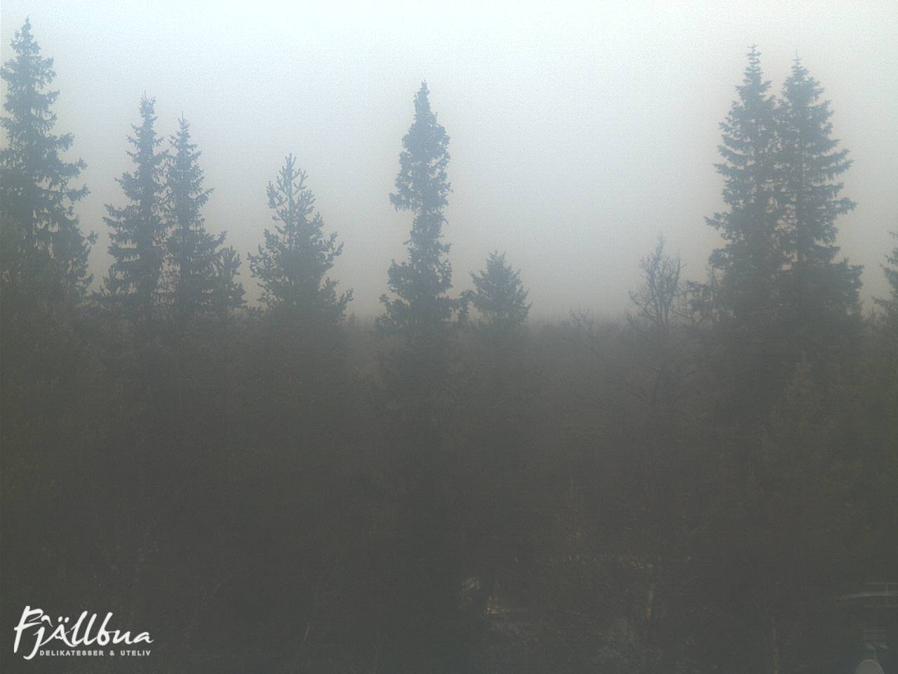 Fjällbua webcam 2024-11-10 11:30