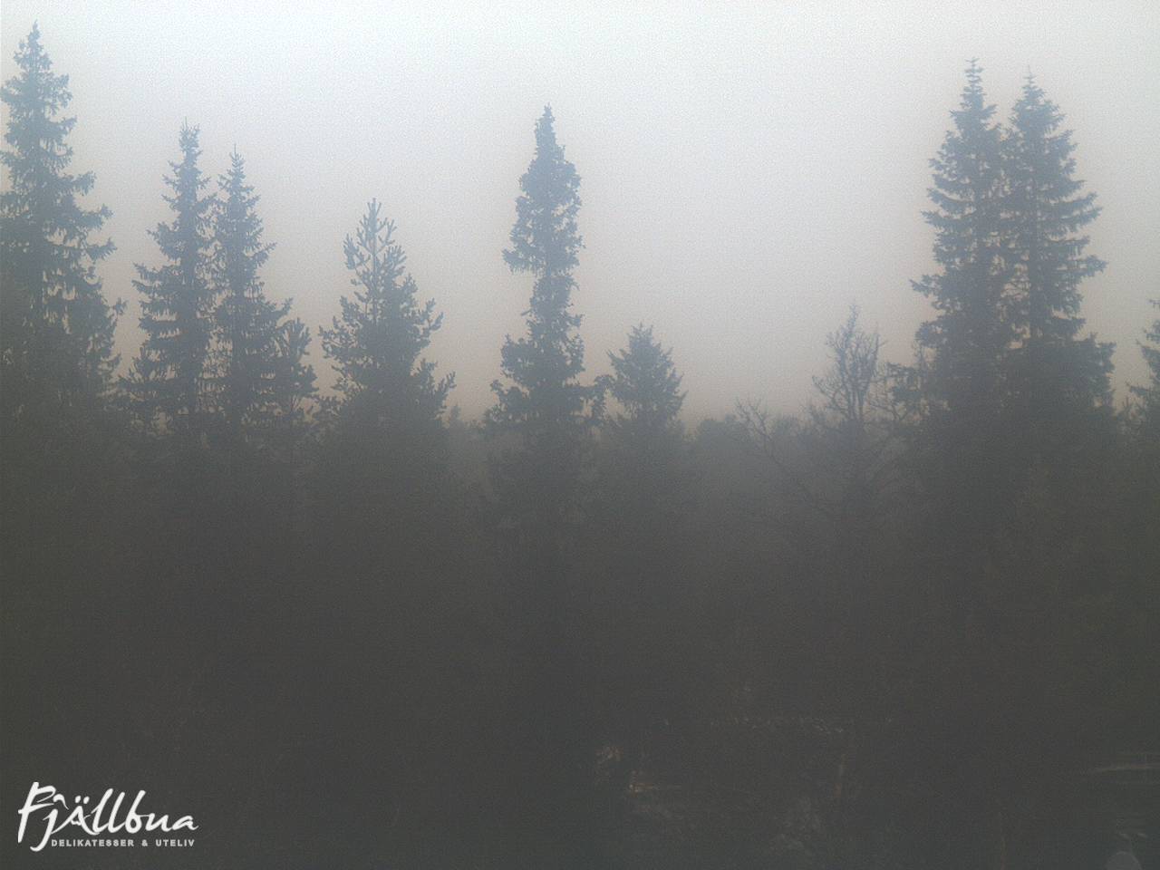 Fjällbua webcam 2024-11-10 12:00