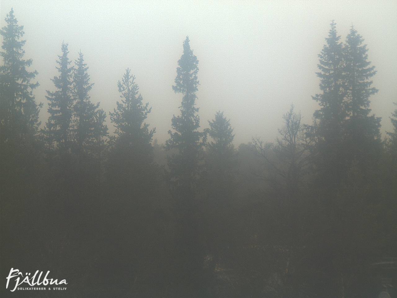 Fjällbua webcam 2024-11-10 12:30