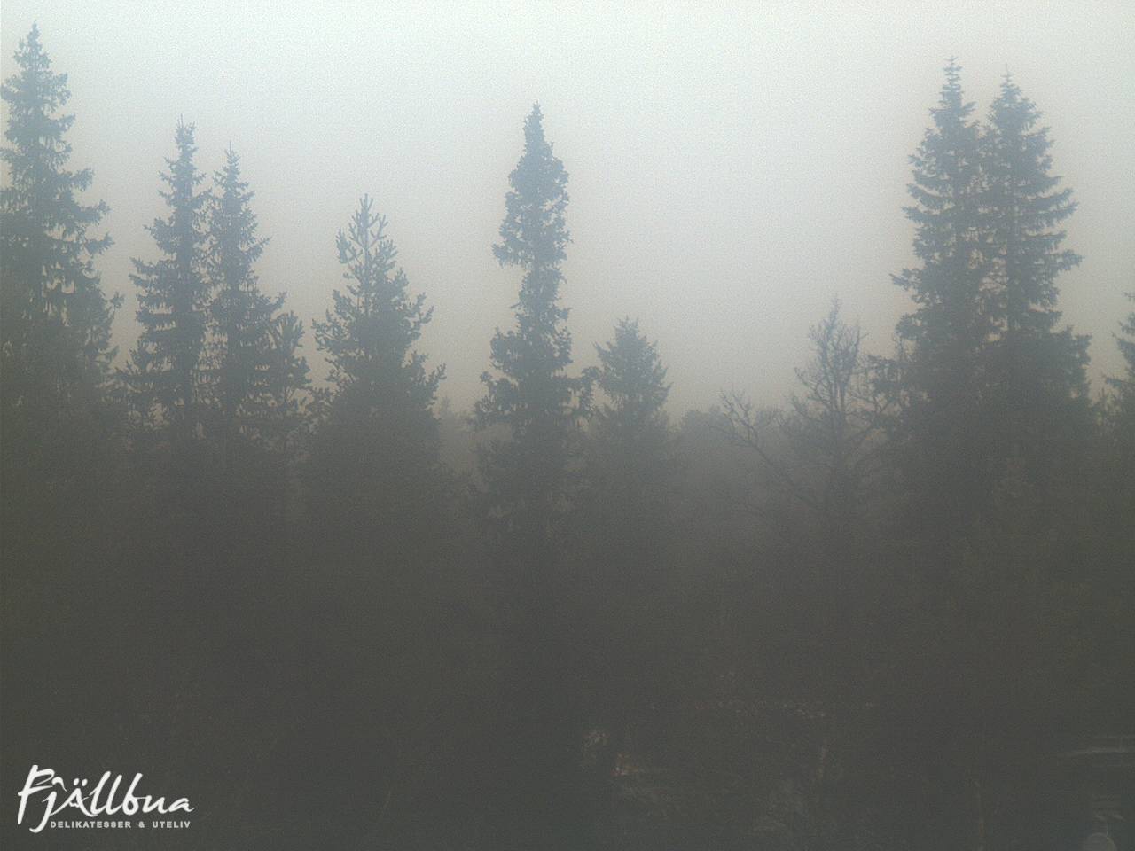 Fjällbua webcam 2024-11-10 13:00