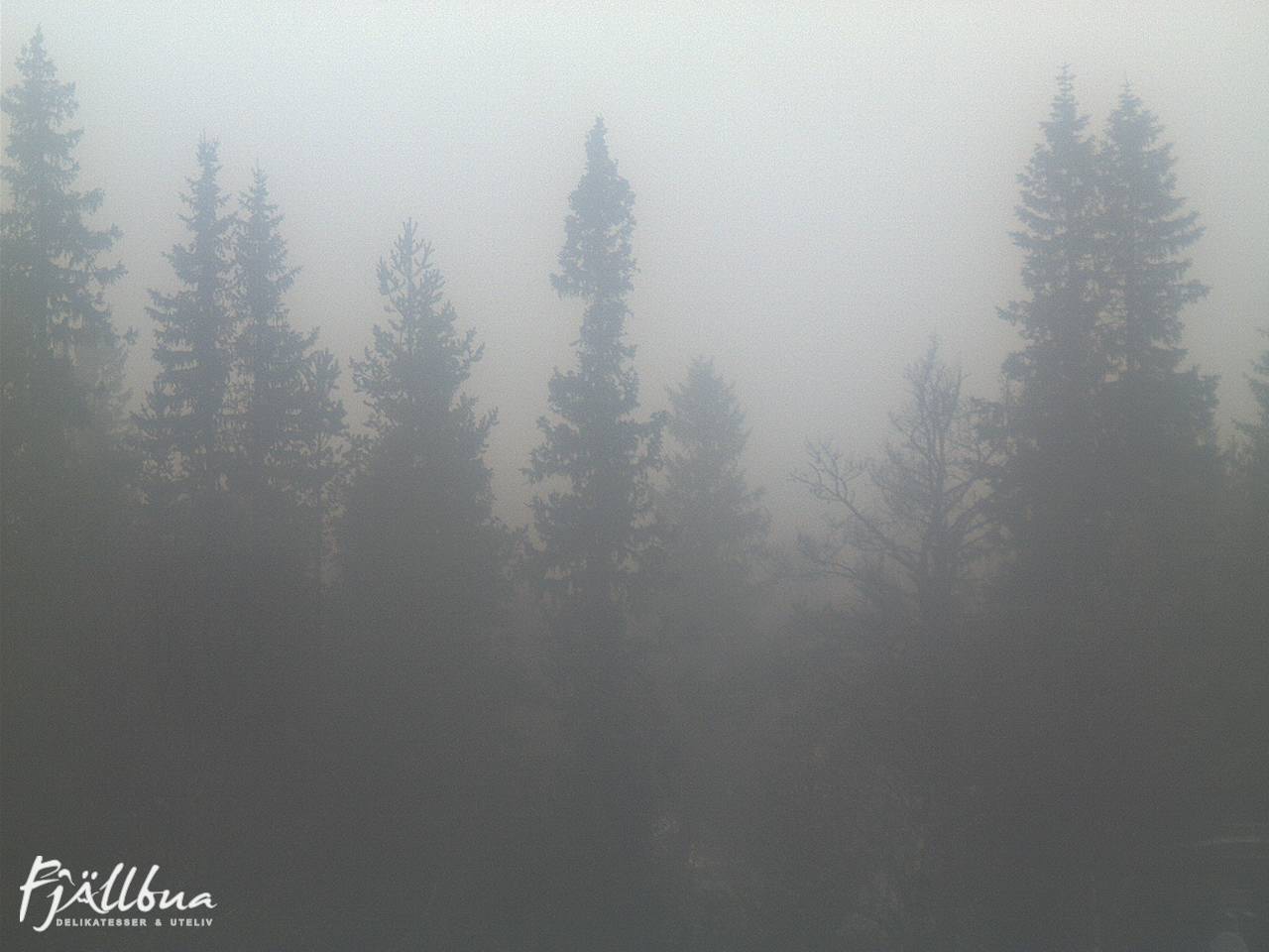 Fjällbua webcam 2024-11-10 14:00