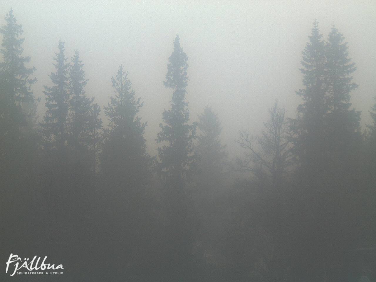 Fjällbua webcam 2024-11-10 14:30