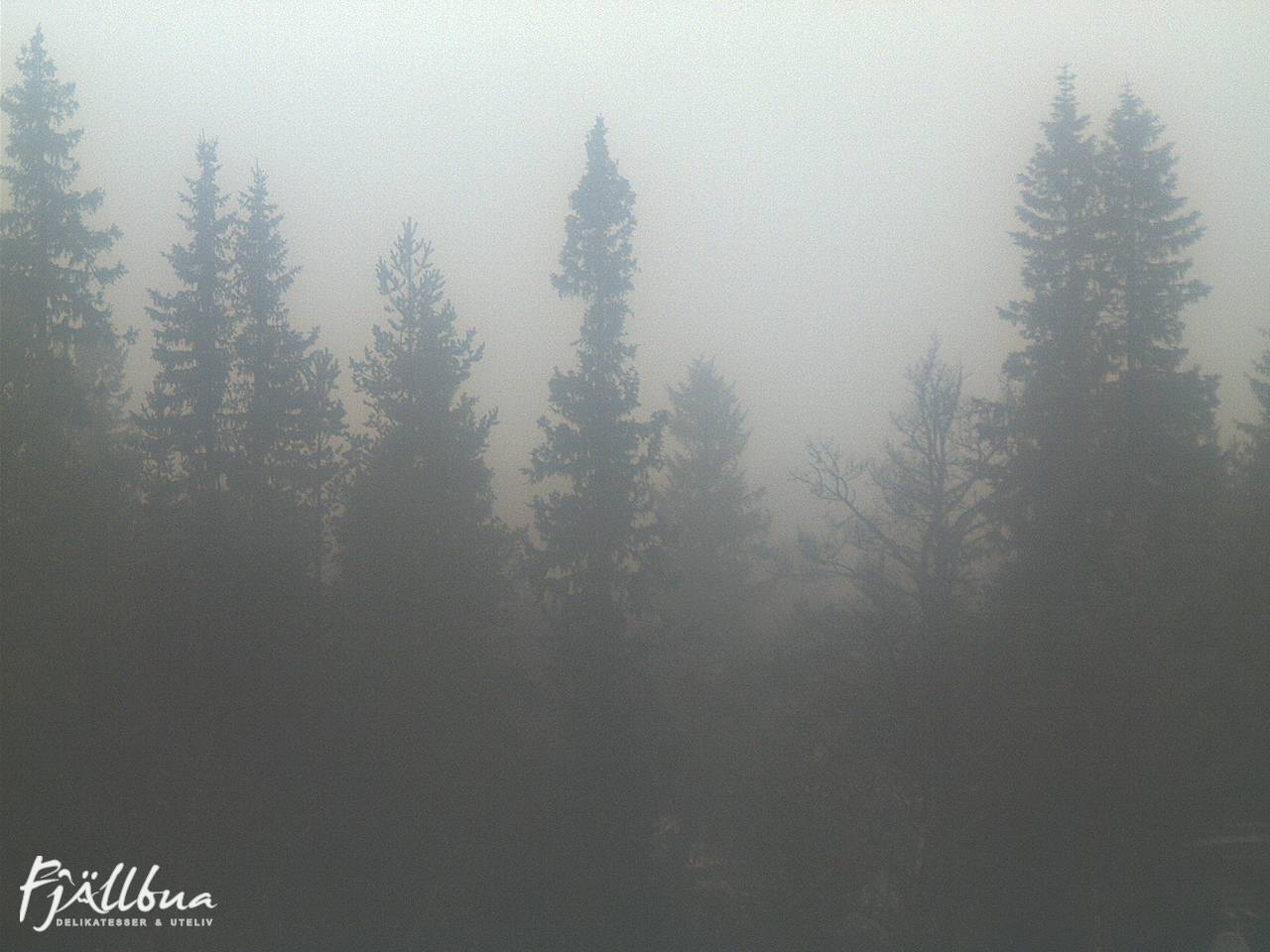 Fjällbua webcam 2024-11-10 15:00