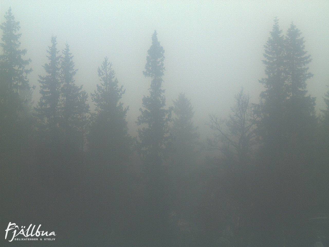 Fjällbua webcam 2024-11-10 15:30