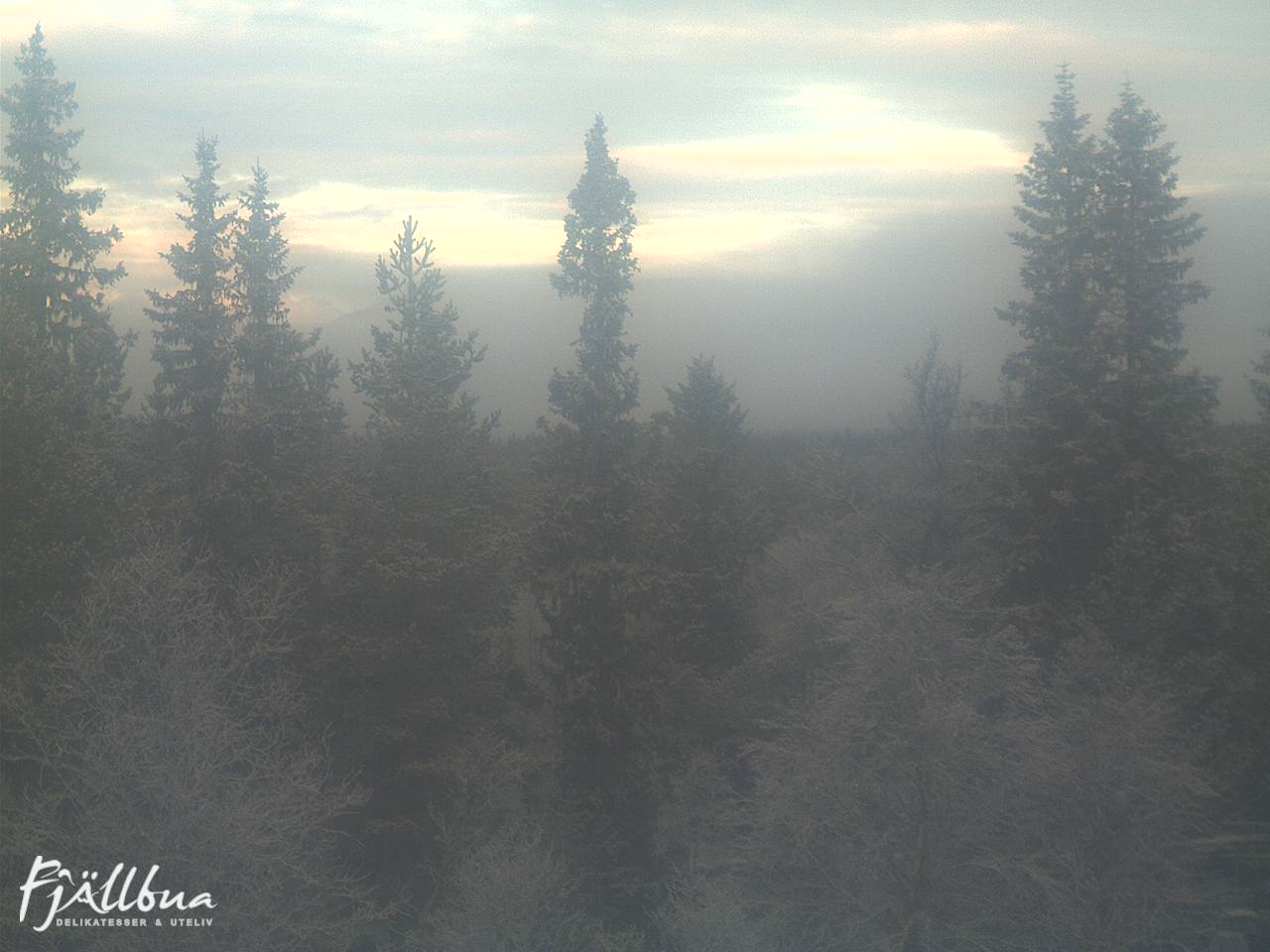 Fjällbua webcam 2024-11-11 09:00