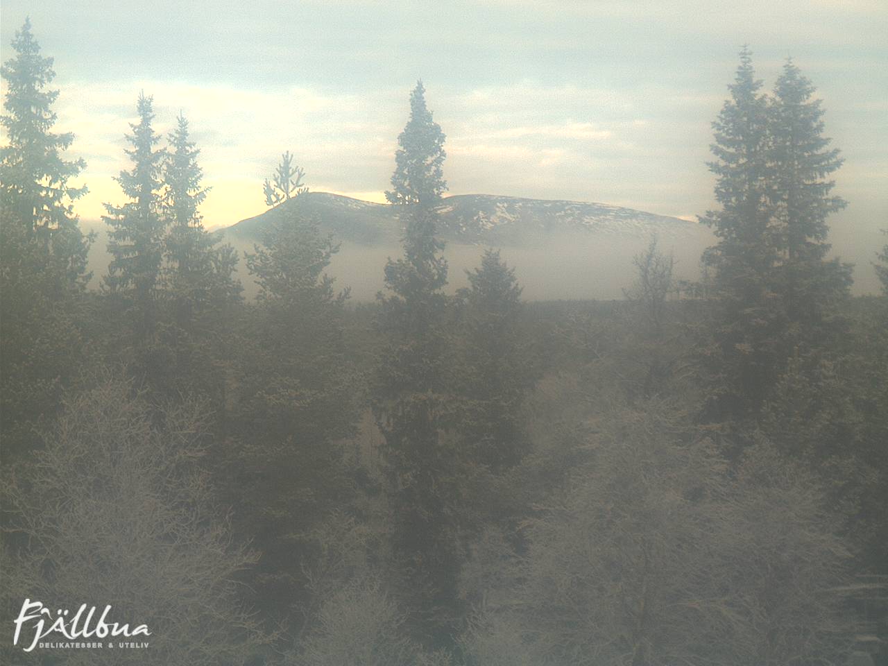 Fjällbua webcam 2024-11-11 09:30