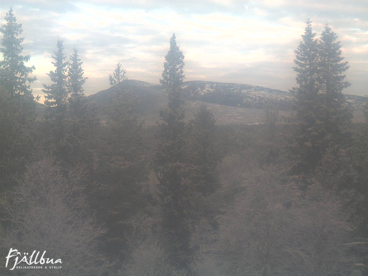 Fjällbua webcam 2024-11-11 10:00