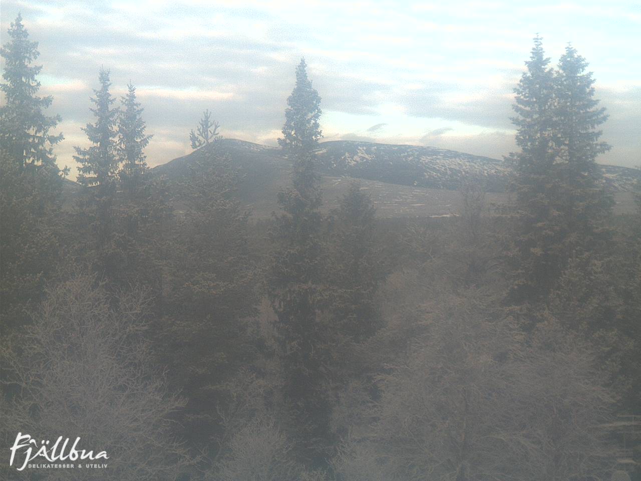 Fjällbua webcam 2024-11-11 10:30