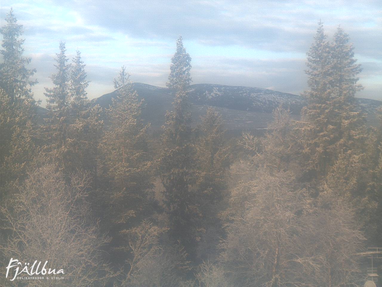 Fjällbua webcam 2024-11-11 11:00